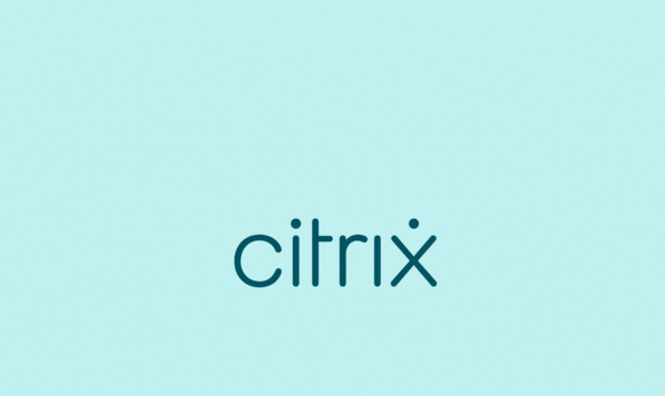 Citrix workspace app single sign on